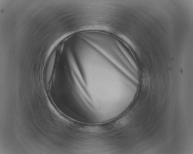 X0000084601468200703091916