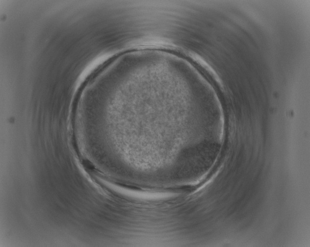 X0000084601469200703091916