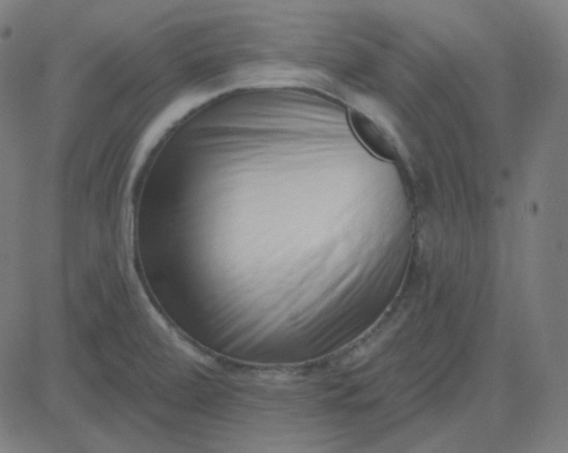 X0000084601472200703091916