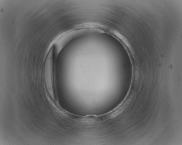 X0000084601473200703091916