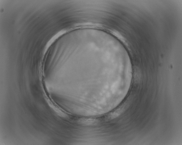 X0000084601474200703091916