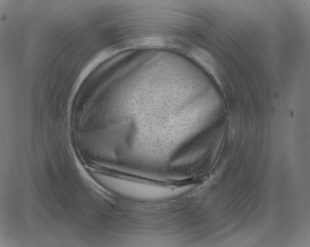 X0000084601475200703091916