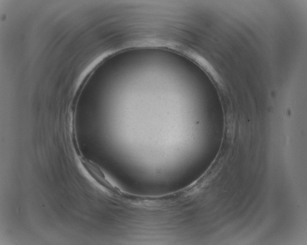 X0000084601476200703091916