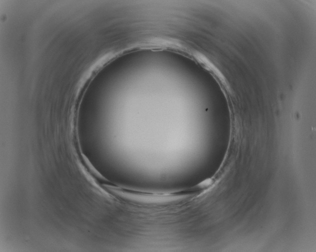 X0000084601477200703091916