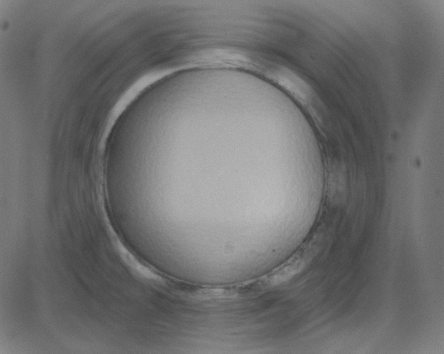 X0000084601478200703091916