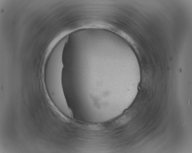 X0000084601480200703091916