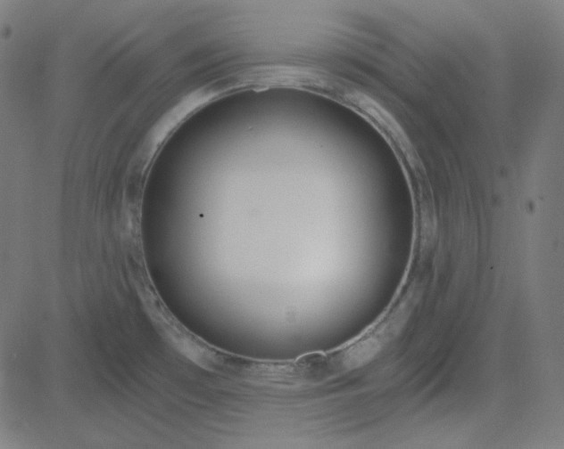 X0000084601481200703091916