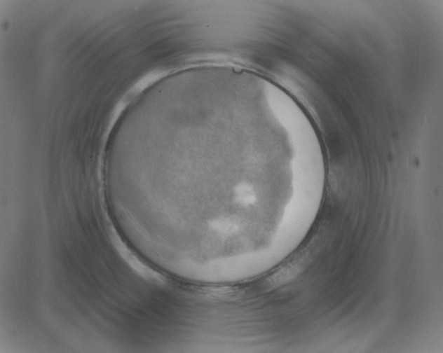 X0000084601482200703091916