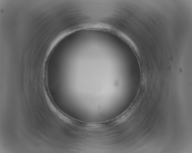 X0000084601483200703091916