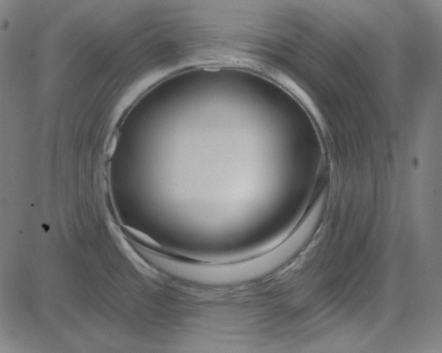 X0000084601485200703091916