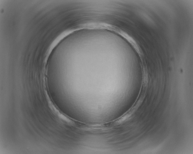 X0000084601486200703091916