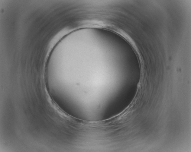 X0000084601488200703091916