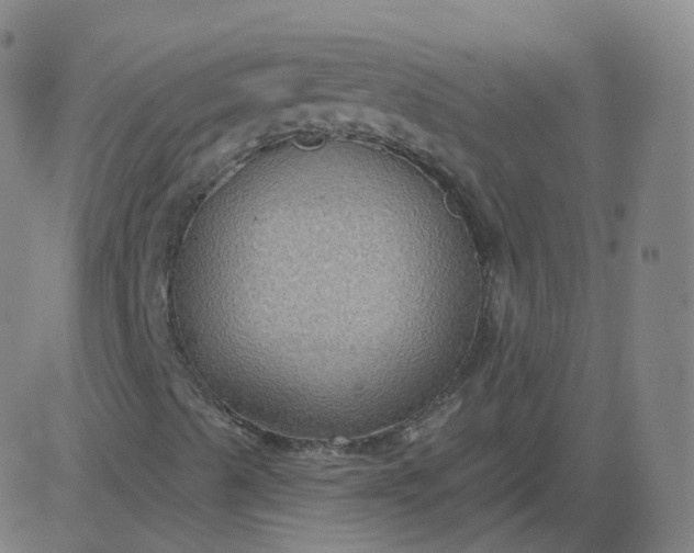 X0000084601489200703091915