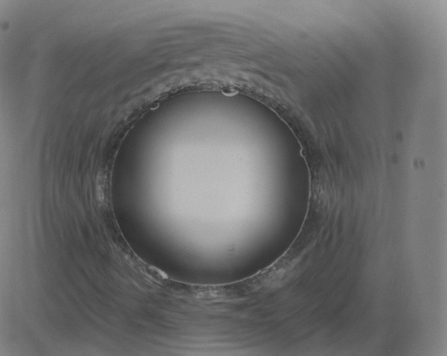 X0000084601490200703091915