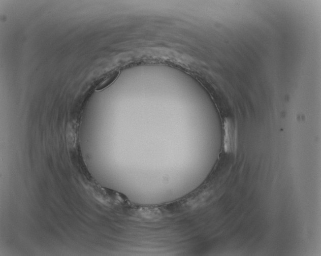 X0000084601491200703091915