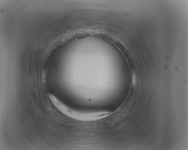 X0000084601492200703091915