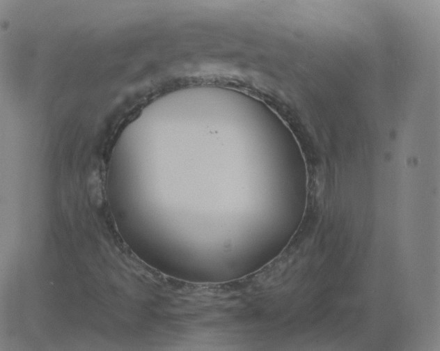 X0000084601493200703091915