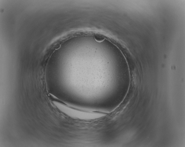 X0000084601494200703091915