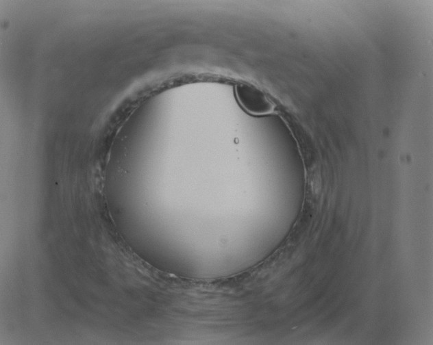 X0000084601495200703091915