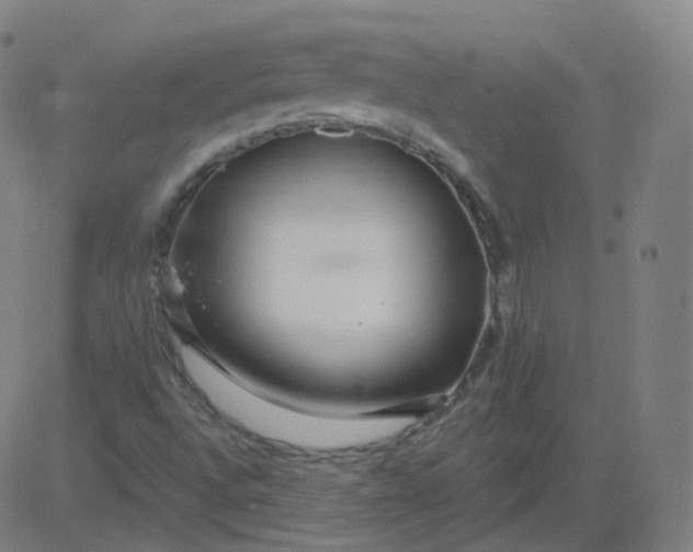 X0000084601496200703091915