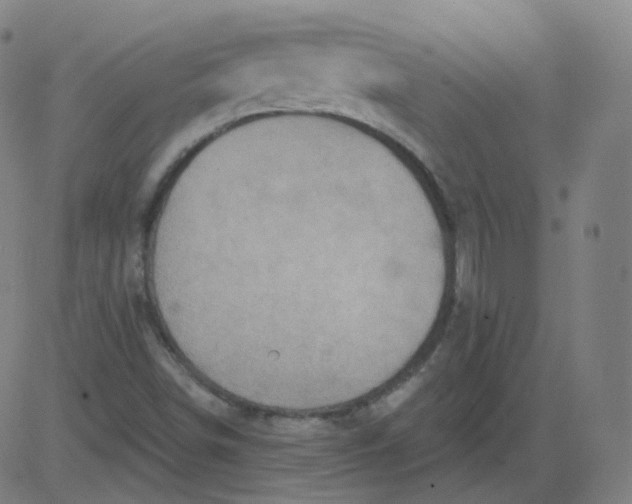 X0000084601498200703091915