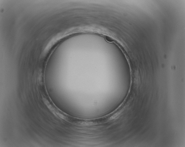 X0000084601499200703091915