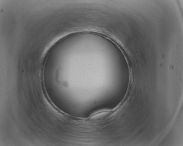 X0000084601500200703091915