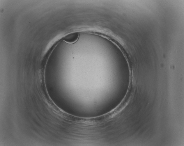 X0000084601501200703091915