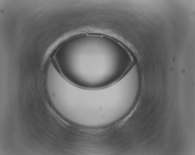 X0000084601502200703091915