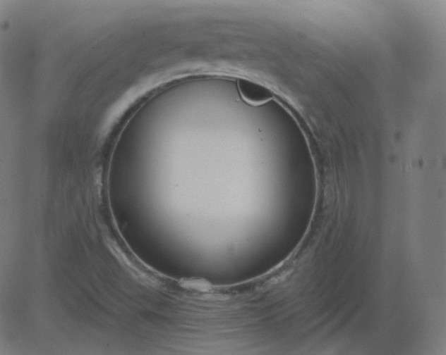 X0000084601503200703091915