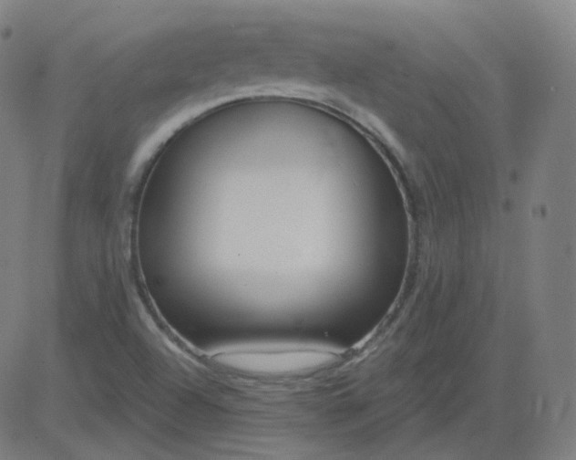 X0000084601504200703091915