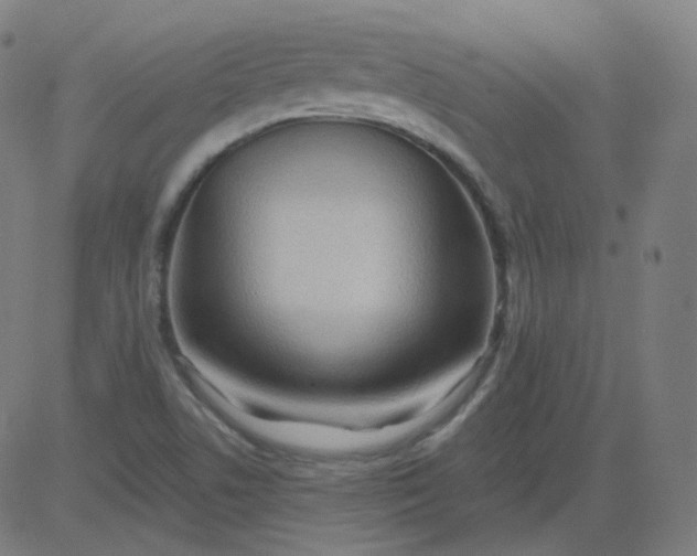 X0000084601506200703091915