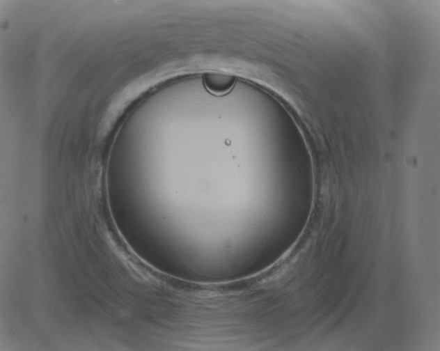 X0000084601507200703091915