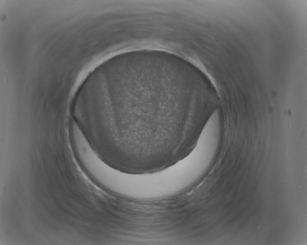 X0000084601508200703091915