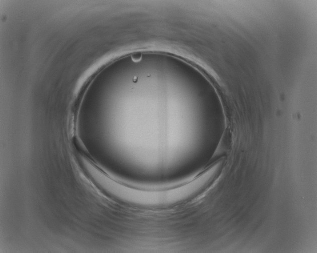 X0000084601510200703091915