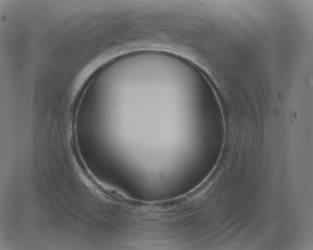 X0000084601511200703091915