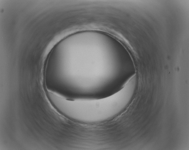 X0000084601512200703091915