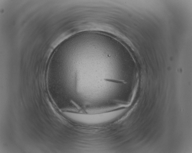 X0000084601513200703091915