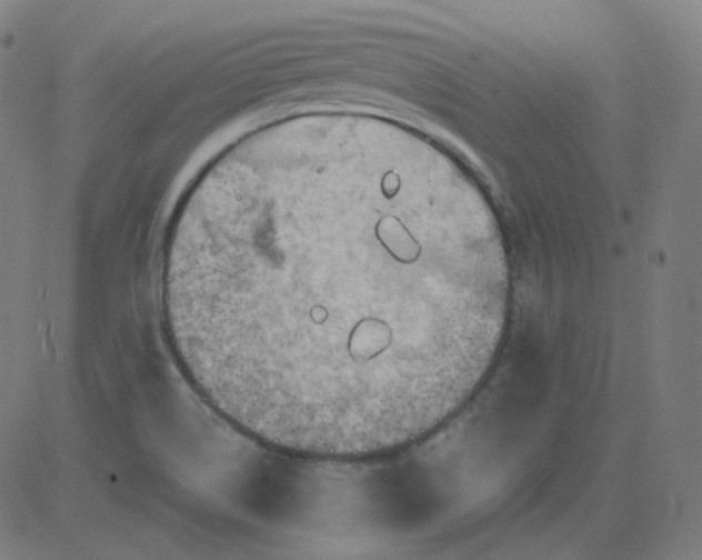 X0000084601514200703091915