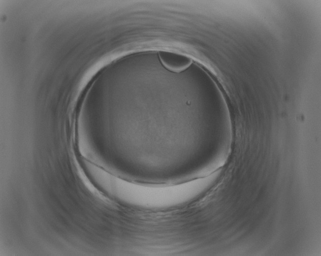 X0000084601515200703091915