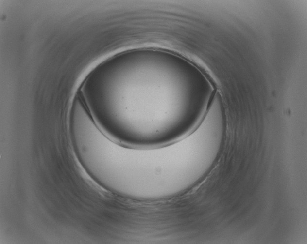 X0000084601516200703091915