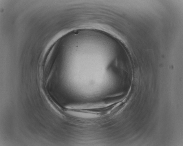 X0000084601517200703091915