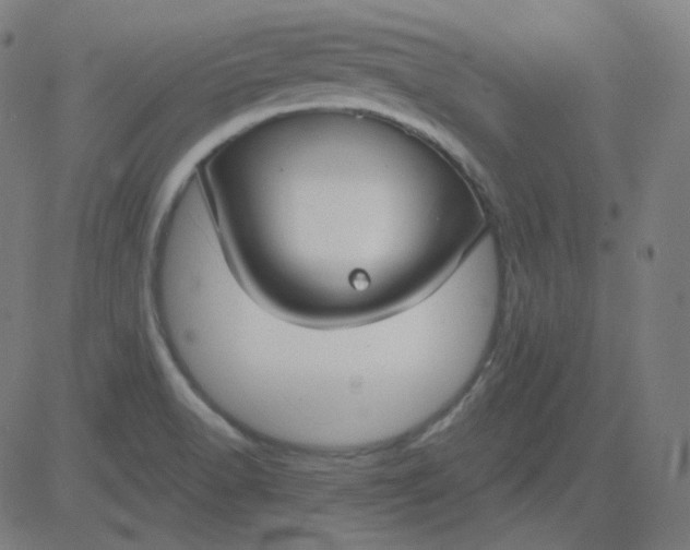 X0000084601518200703091915