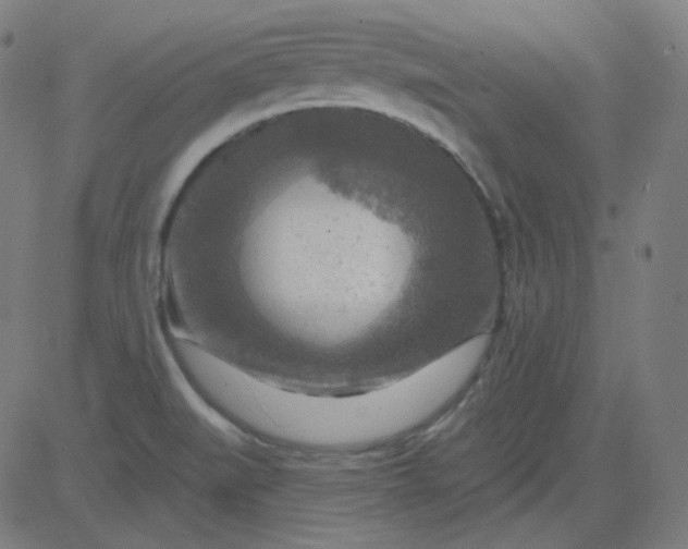 X0000084601519200703091915