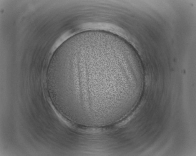 X0000084601521200703091915