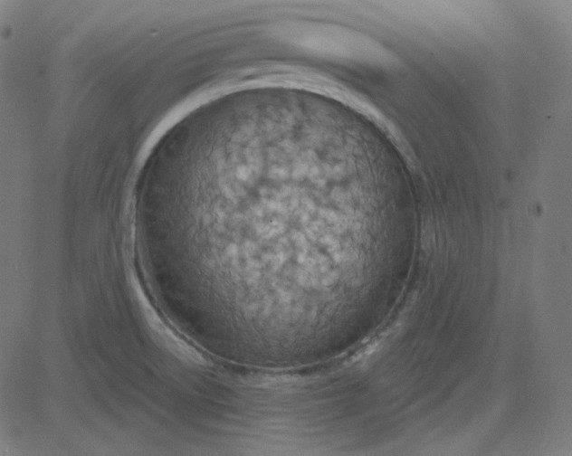 X0000084601522200703091915