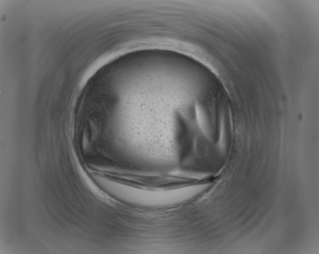 X0000084601523200703091915