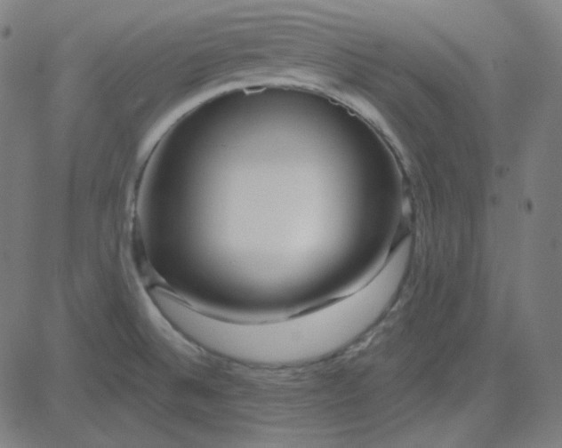 X0000084601524200703091915