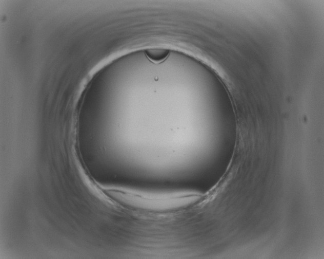 X0000084601526200703091916