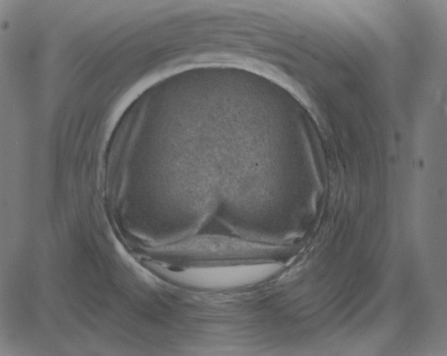 X0000084601527200703091916